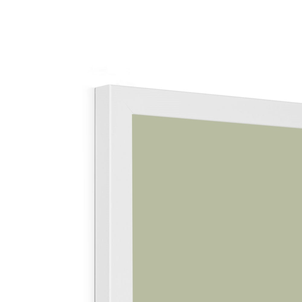 Swan in sage / Framed Print