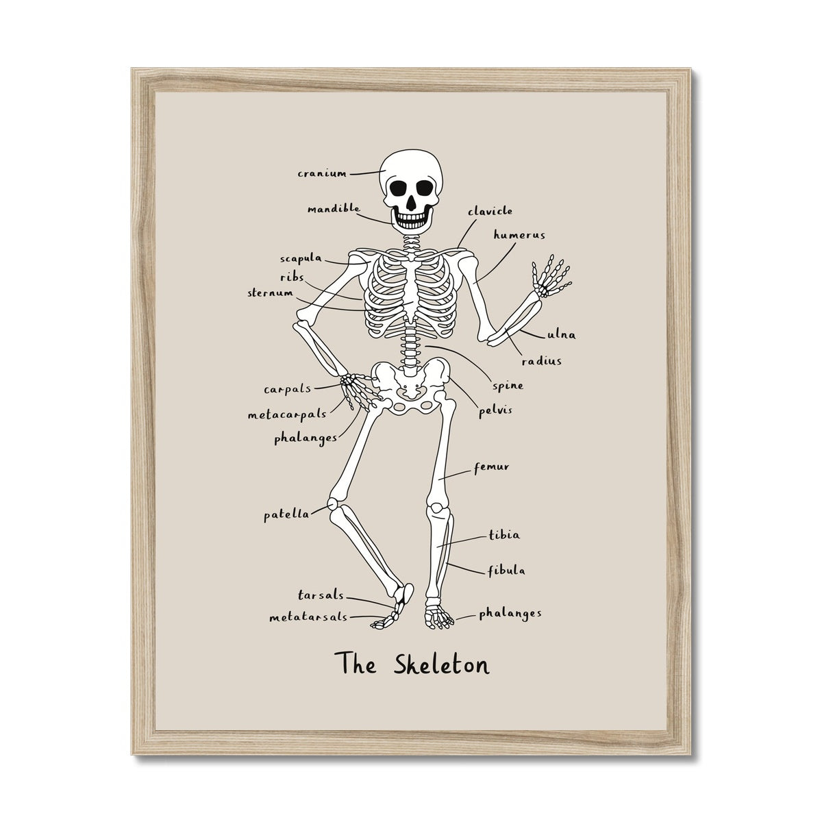 Skeleton in stone / Framed Print