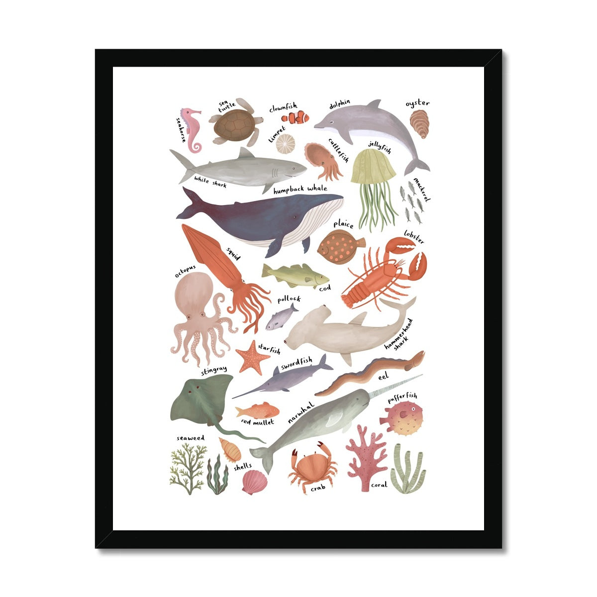 Ocean Life chart / Framed Print