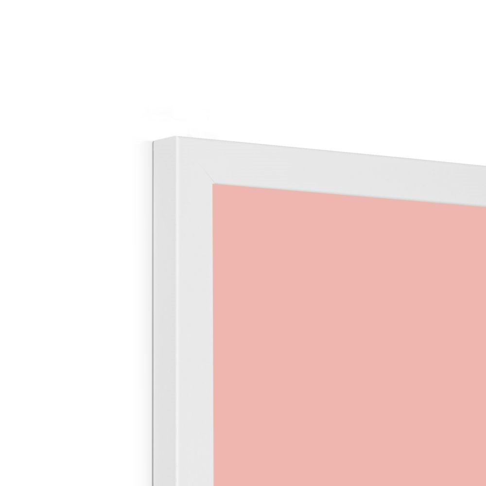 Swan in pink / Framed Print