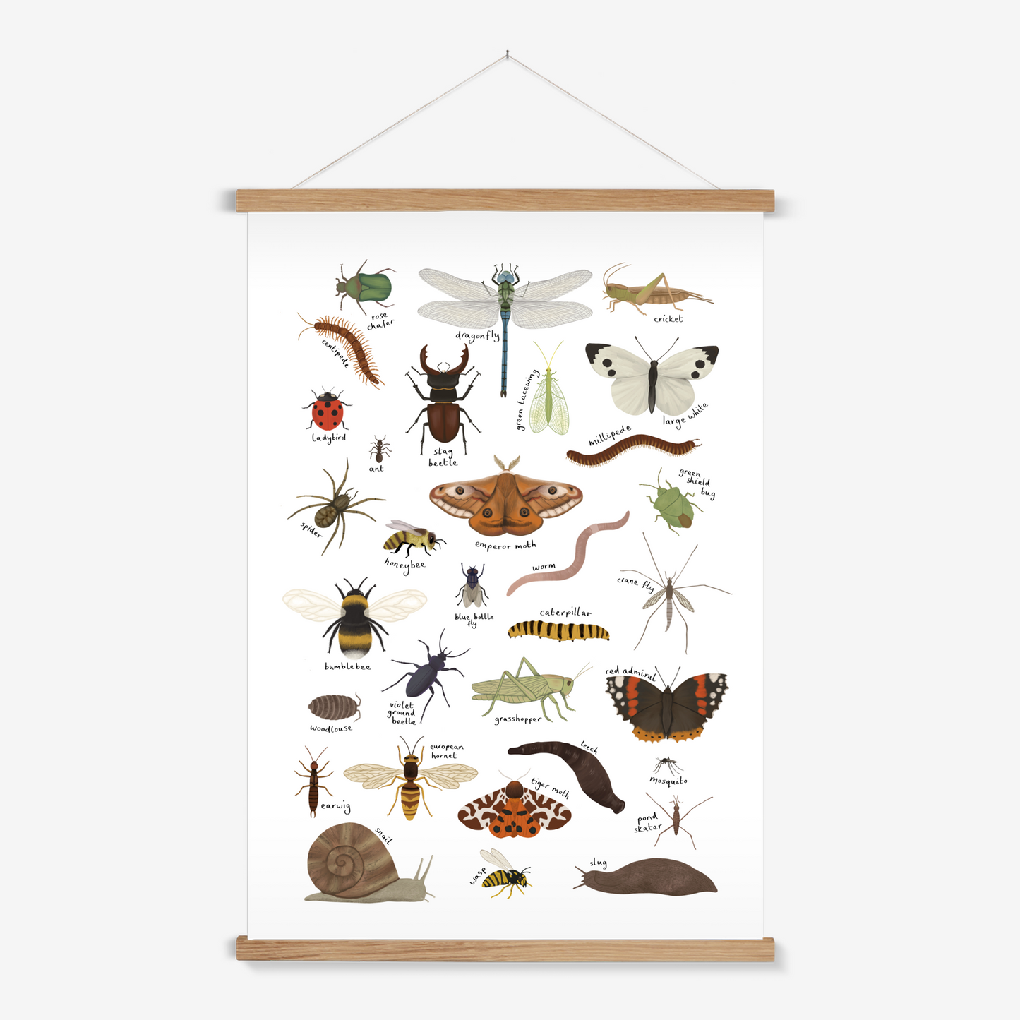 Minibeasts in white / Print with Hanger