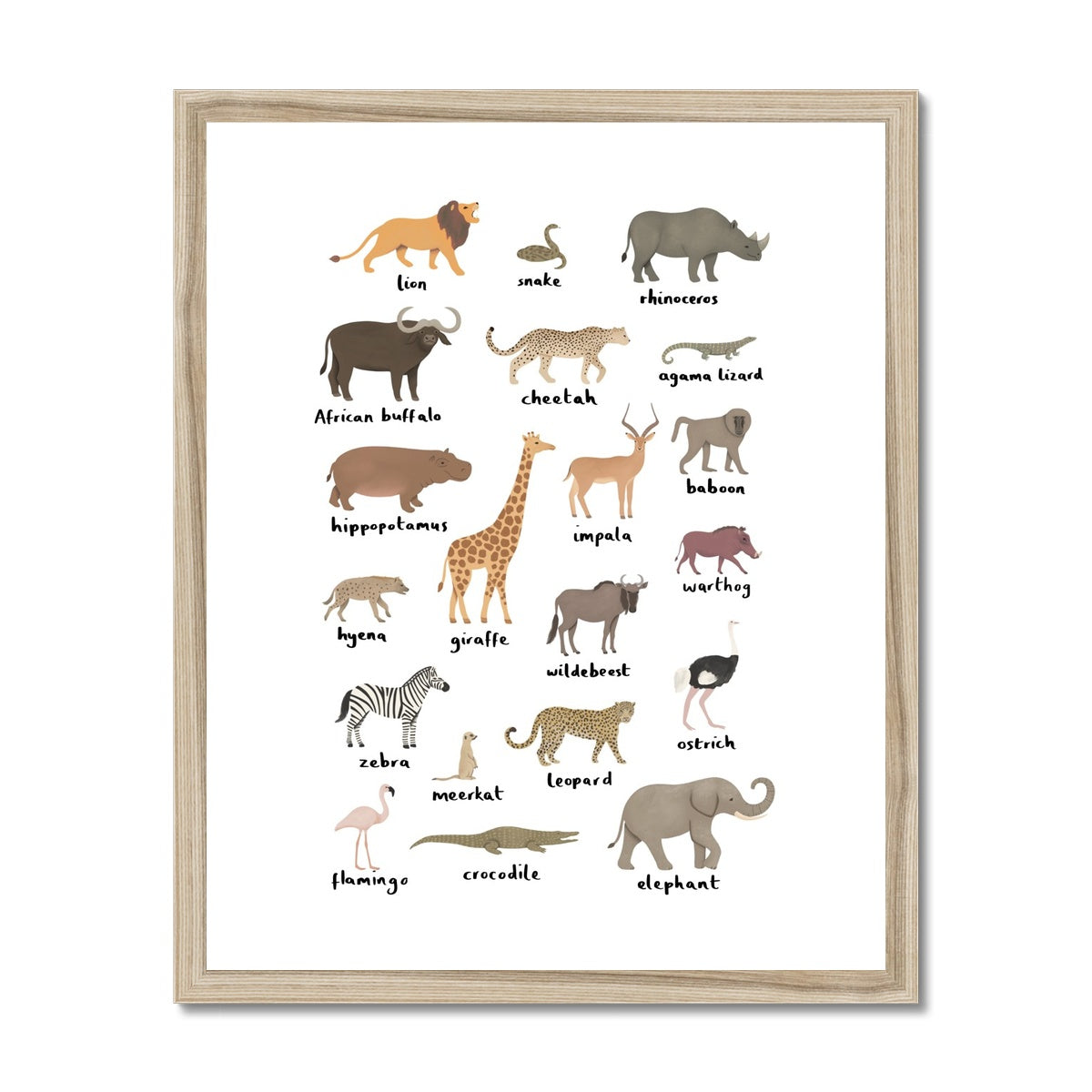 Safari animal chart / Framed Print