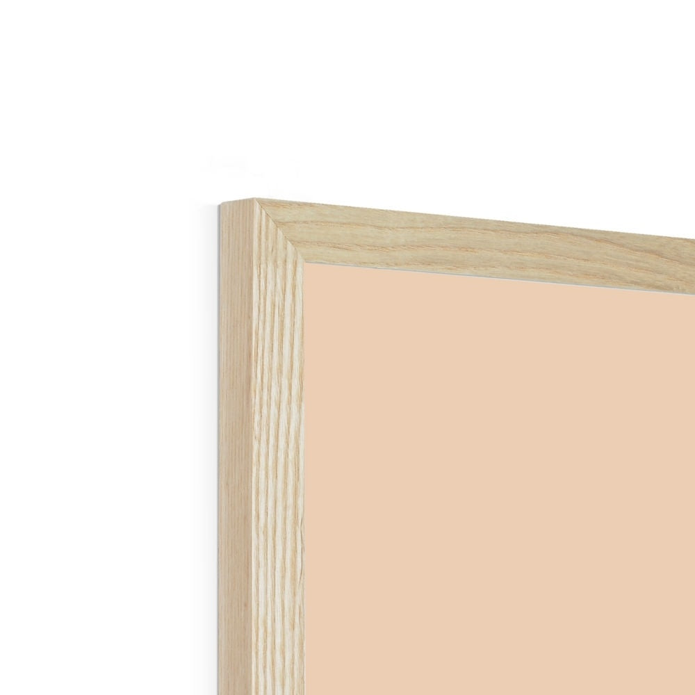 Swan in peach / Framed Print