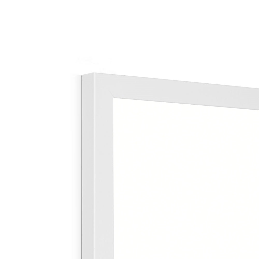 Animal Alphabet in white / Framed Print