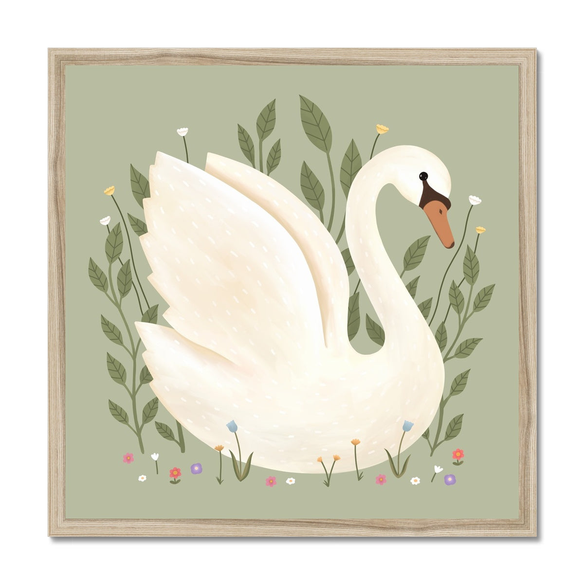Swan in sage / Framed Print