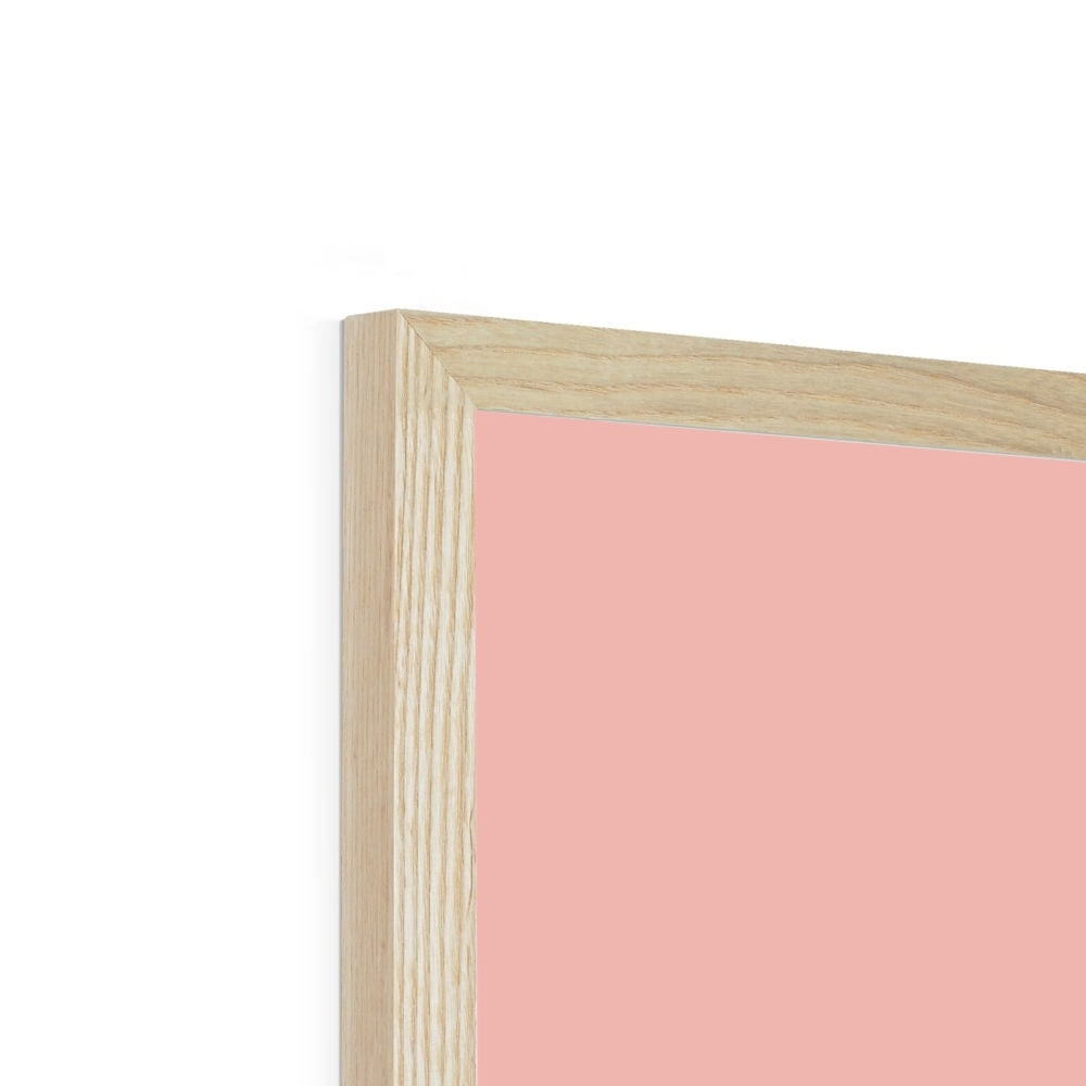 Swan in pink / Framed Print