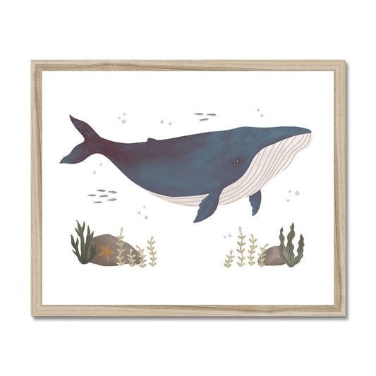 Whale / Framed Print