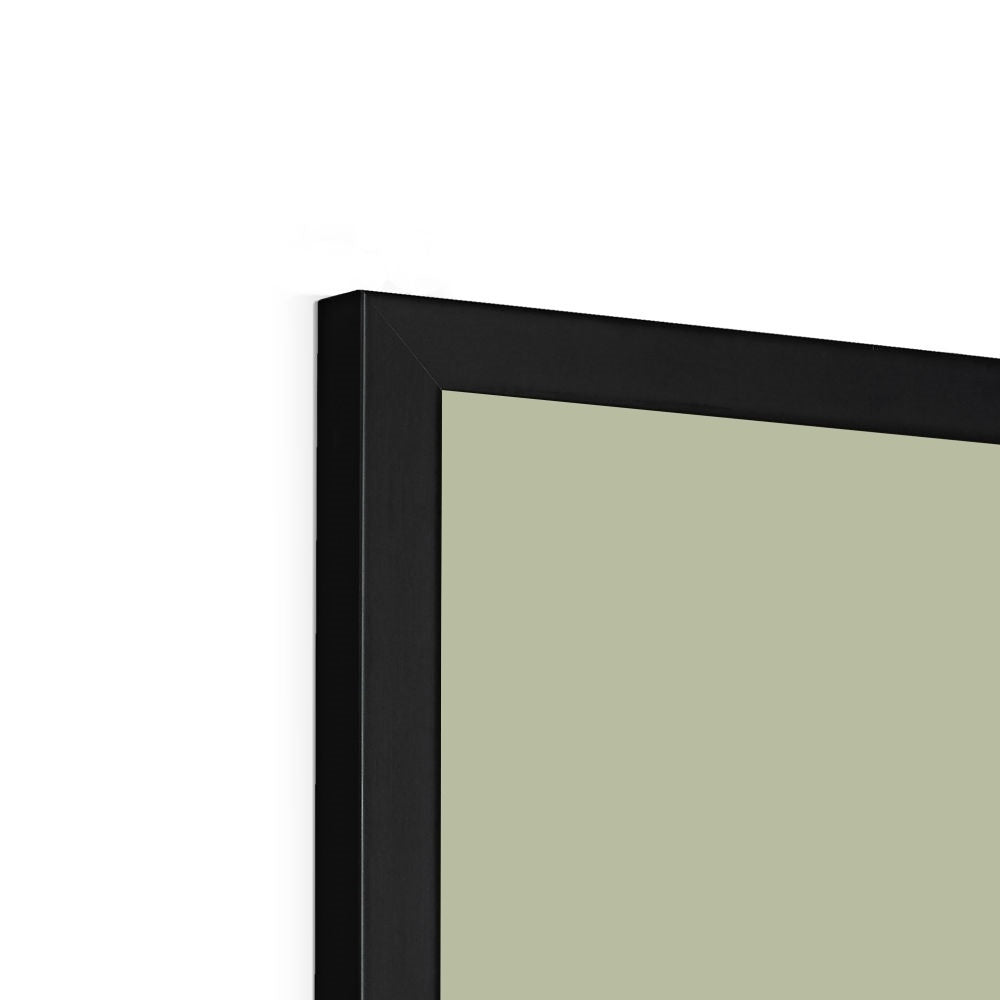 Swan in sage / Framed Print