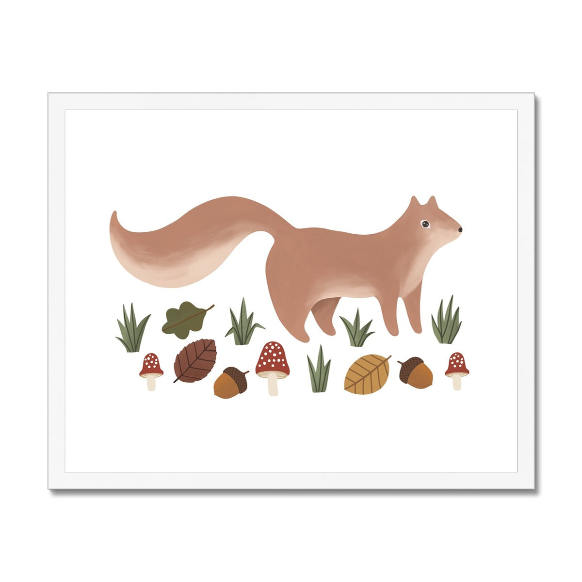 Squirrel in white / Framed Print