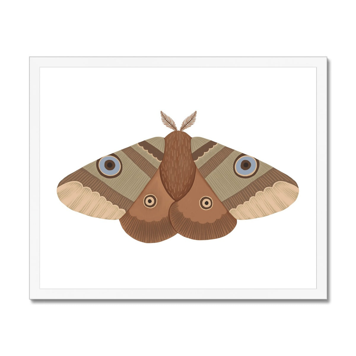 Moth / Framed Print