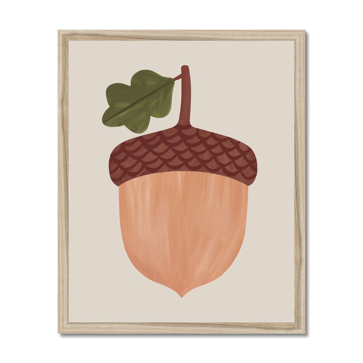 Acorn in stone / Framed Print