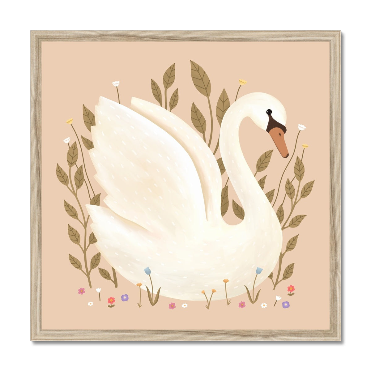 Swan in peach / Framed Print