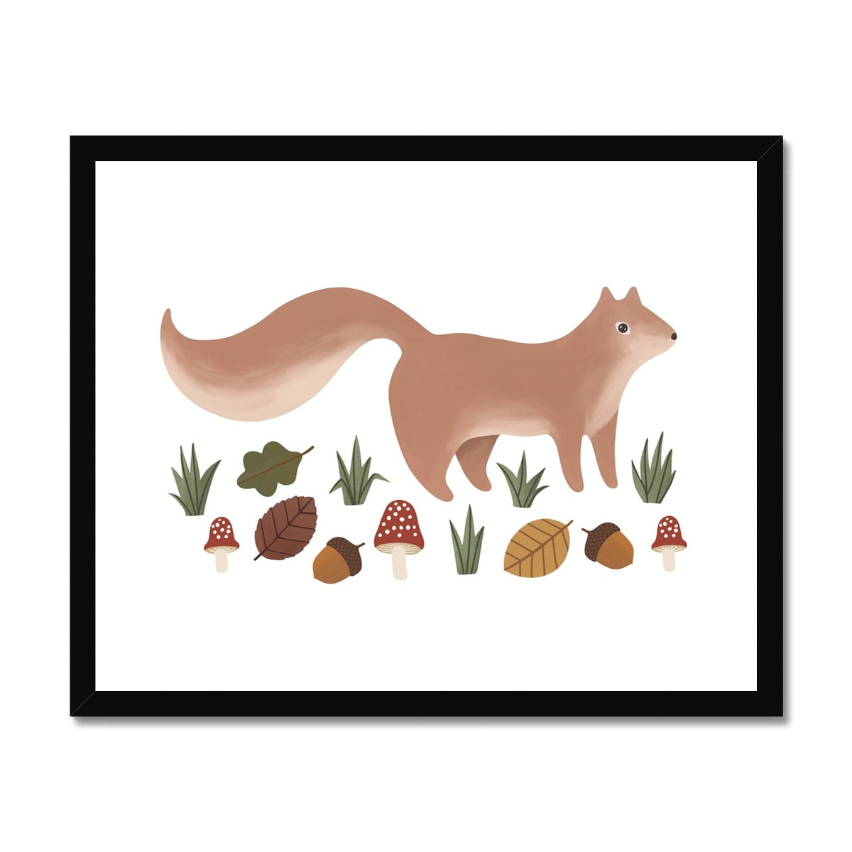 Squirrel in white / Framed Print
