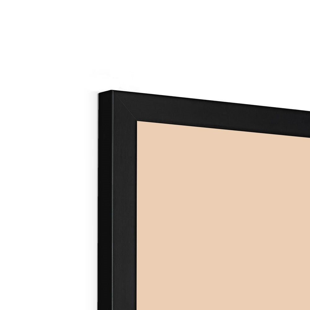 Swan in peach / Framed Print
