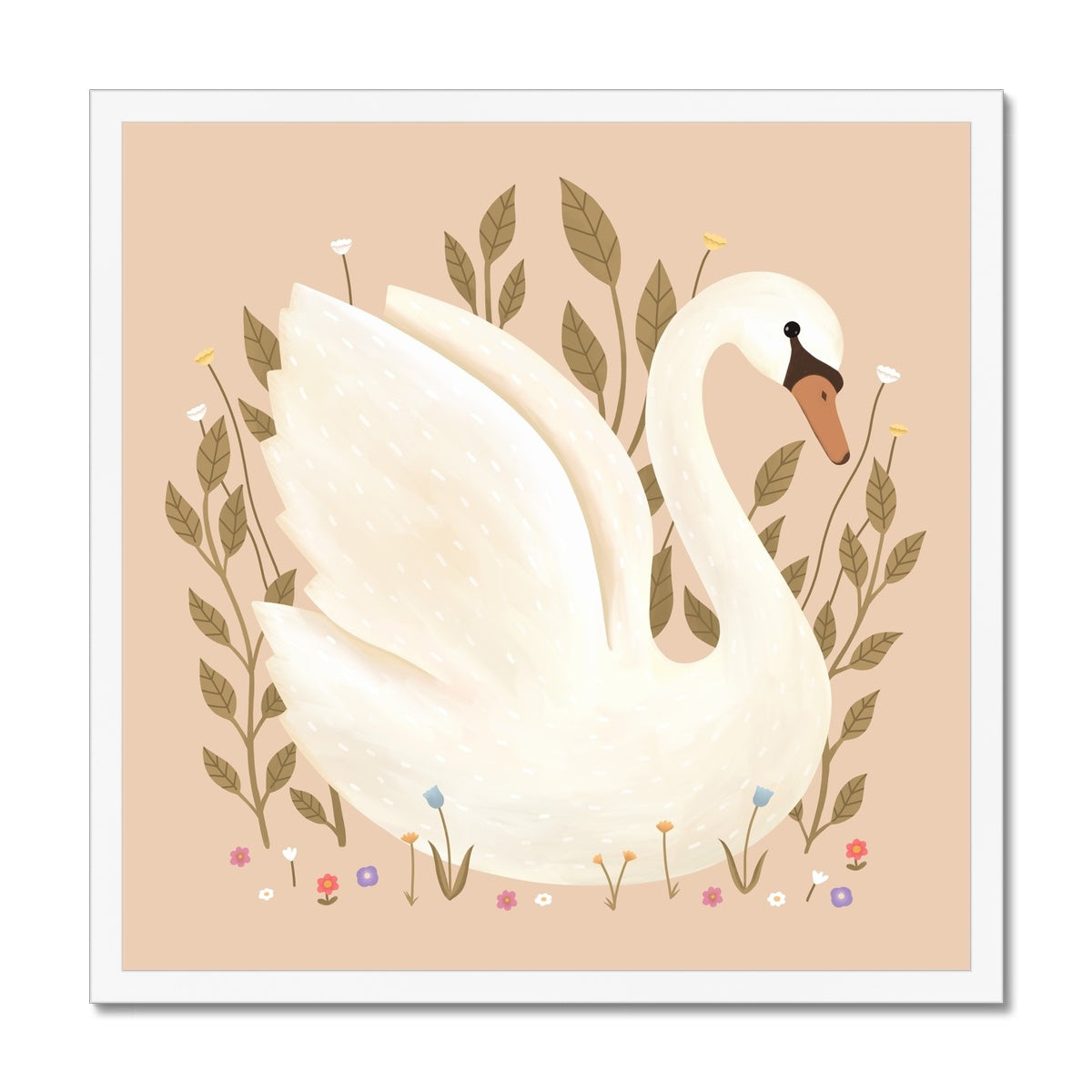 Swan in peach / Framed Print