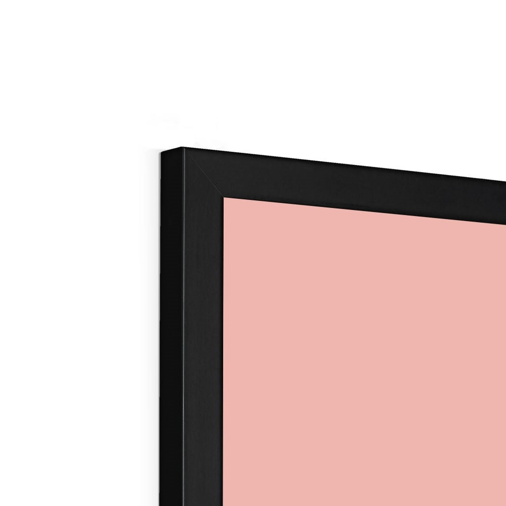 Swan in pink / Framed Print