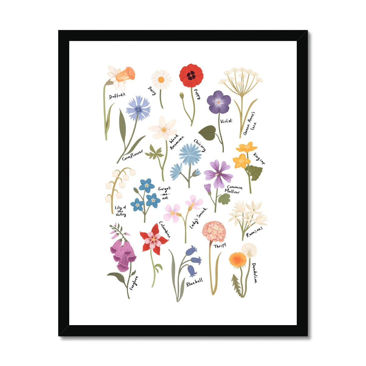 Wildflowers / Framed Print
