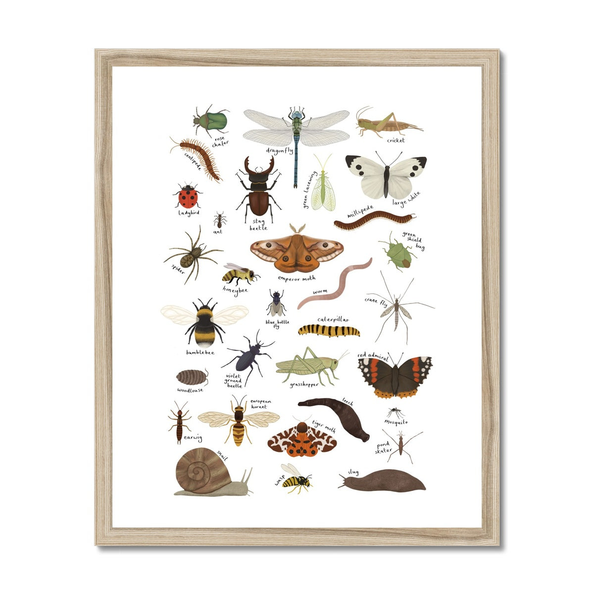 Minibeasts in white / Framed Print