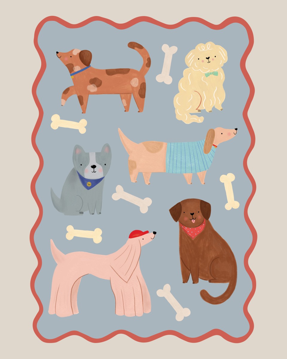 Dogs in blue and stone