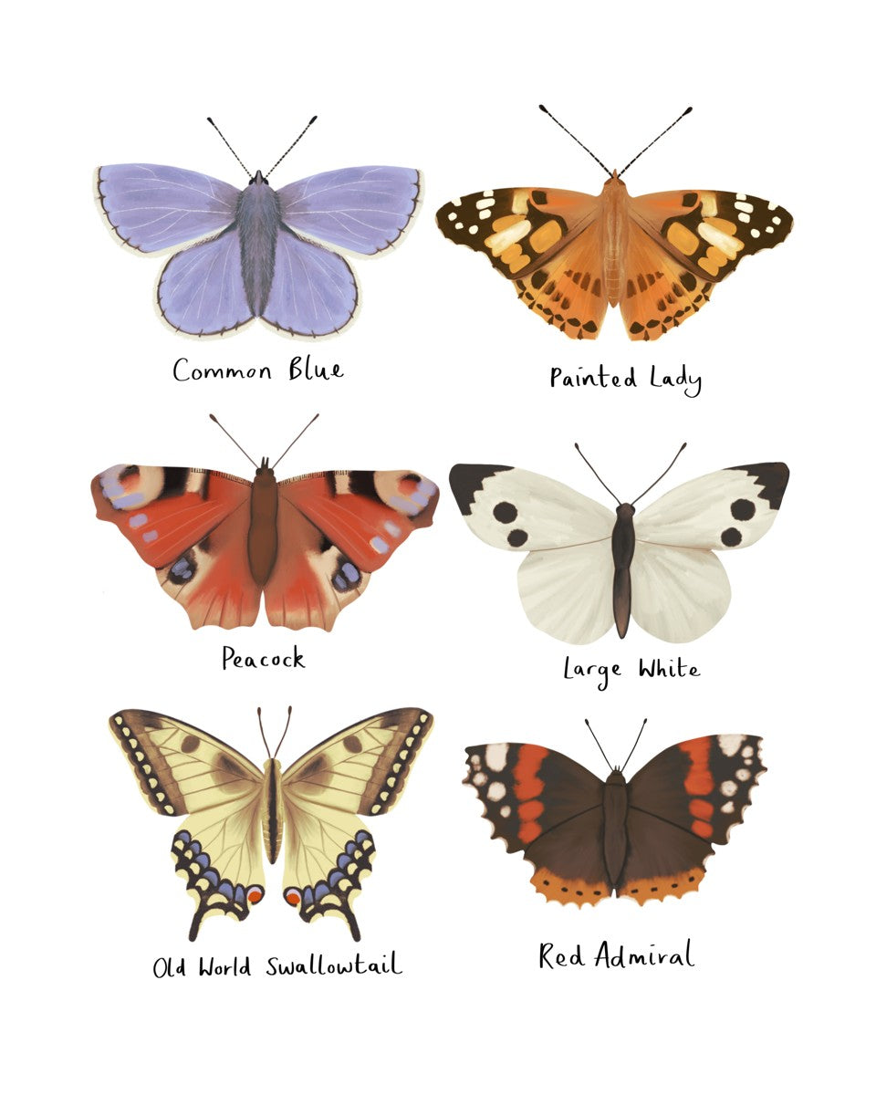 Butterflies print