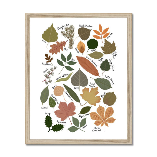 Leaf Chart / Framed Print
