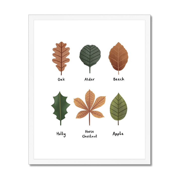 Leaves in white / Framed Print