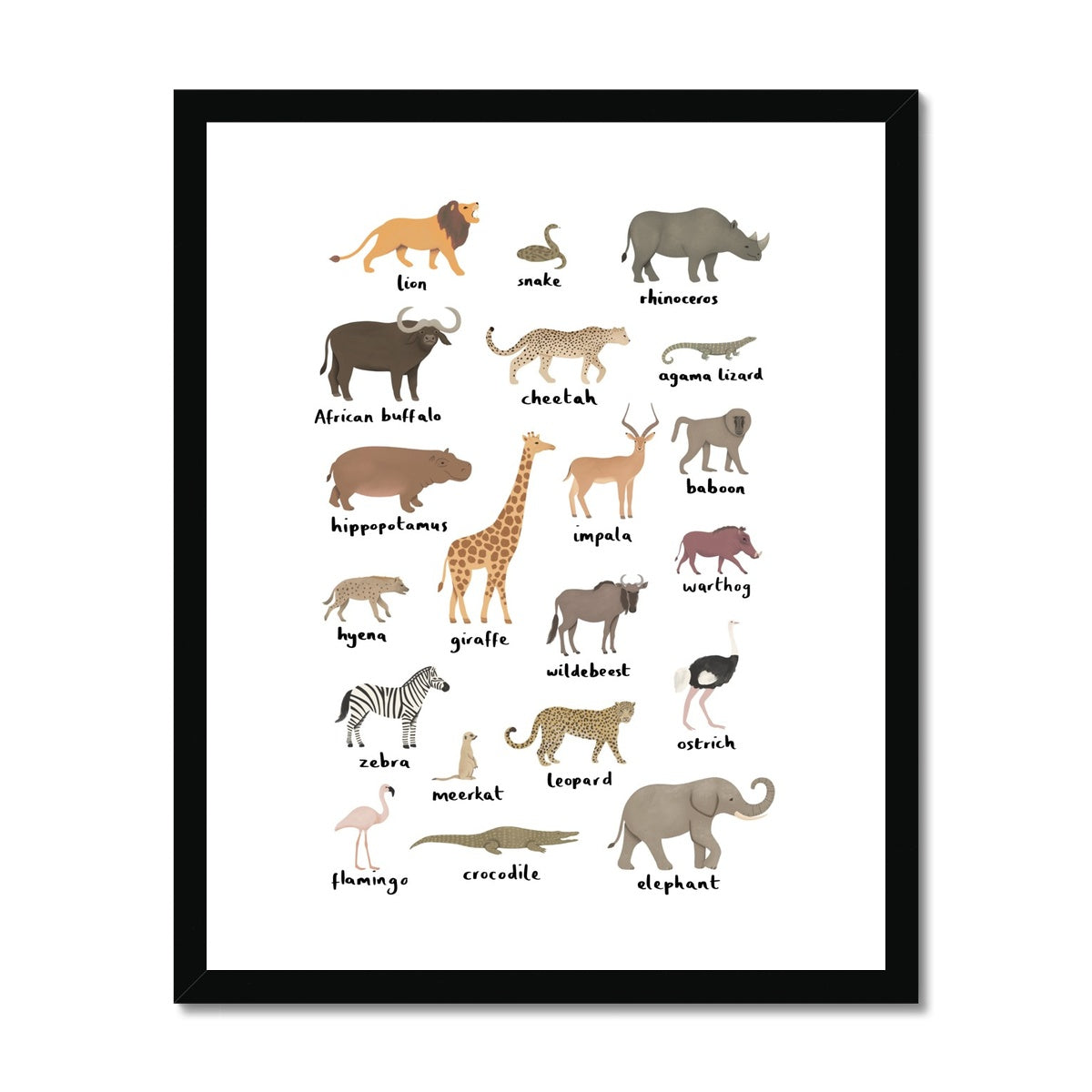 Safari animal chart / Framed Print