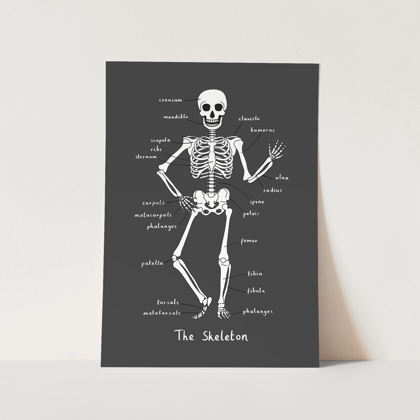 Skeleton in black / Fine Art Print