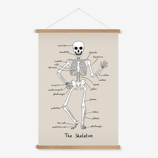 Skeleton in stone / Print with Hanger