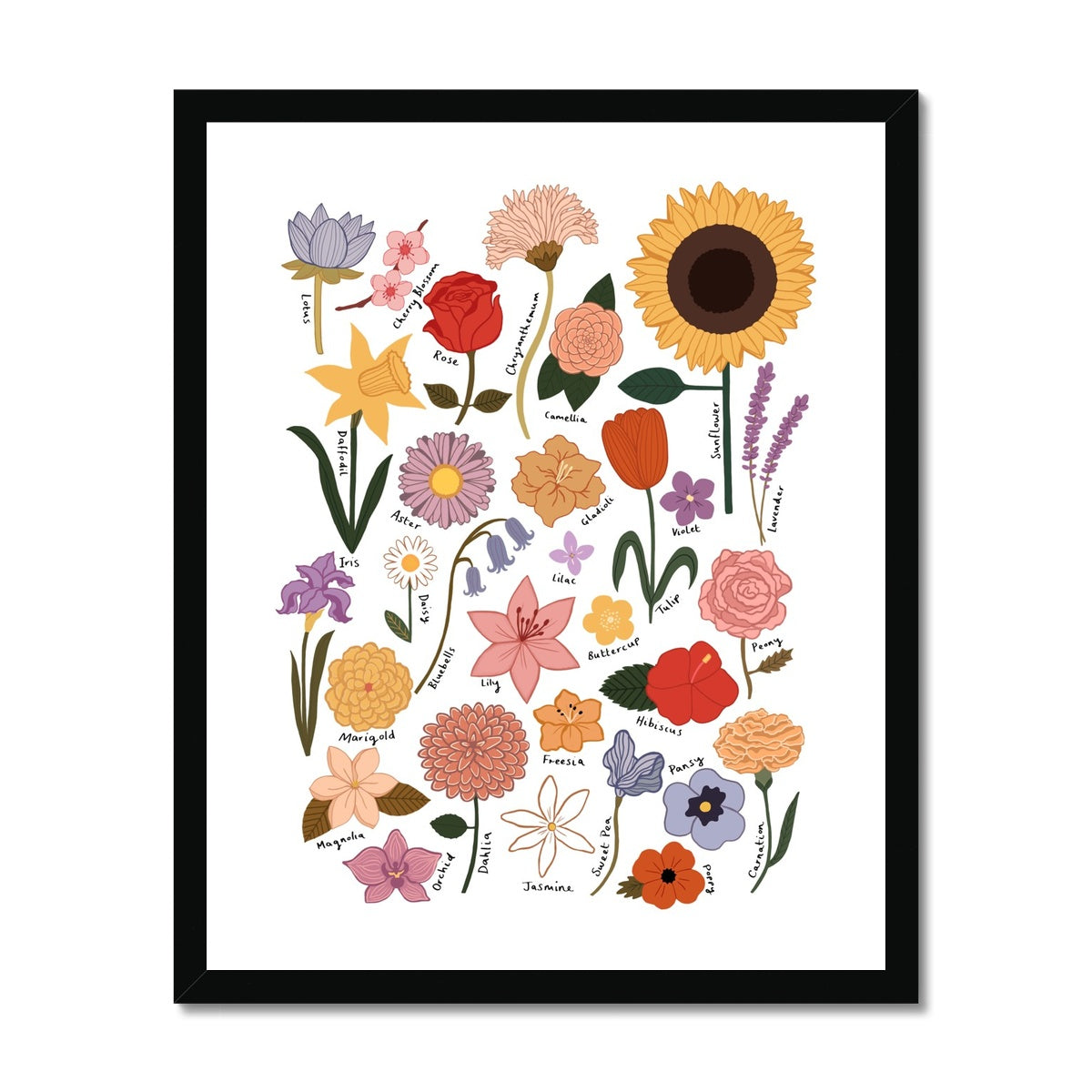Flower Chart / Framed Print
