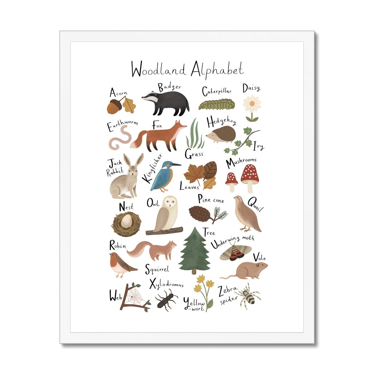 Woodland Alphabet in white / Framed Print