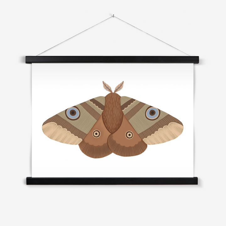Moth / Print with Hanger