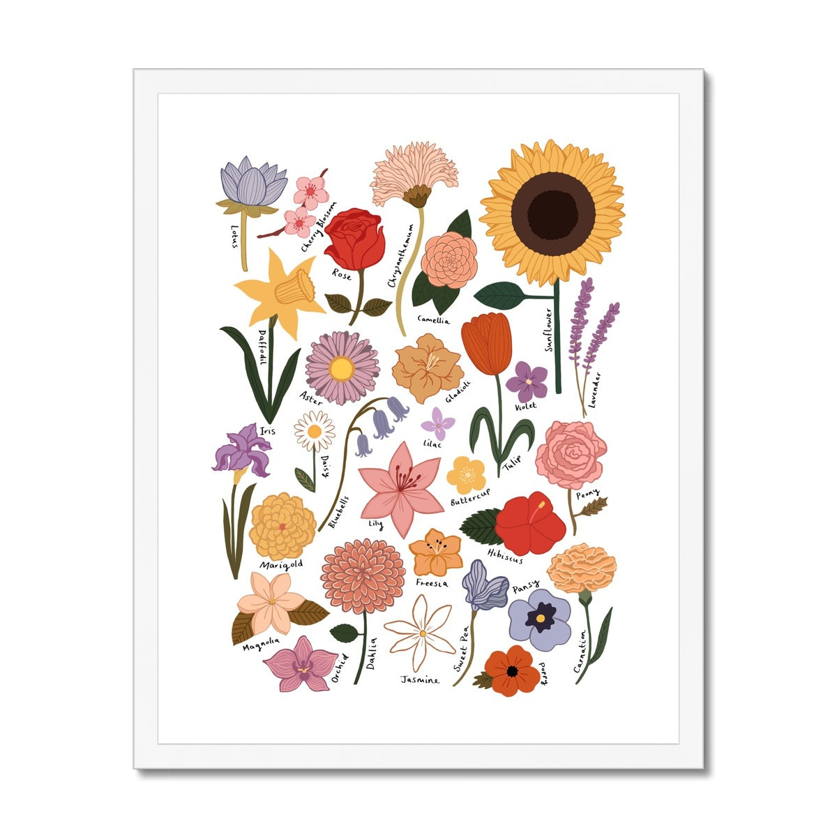 Flower Chart / Framed Print