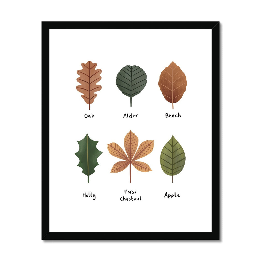 Leaves in white / Framed Print