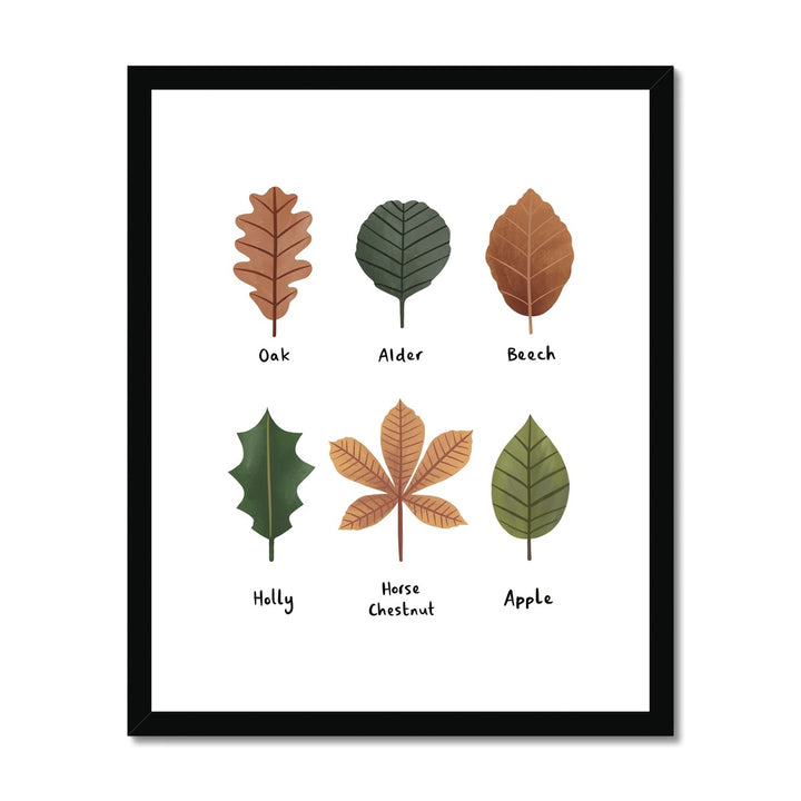 Leaves in white / Framed Print