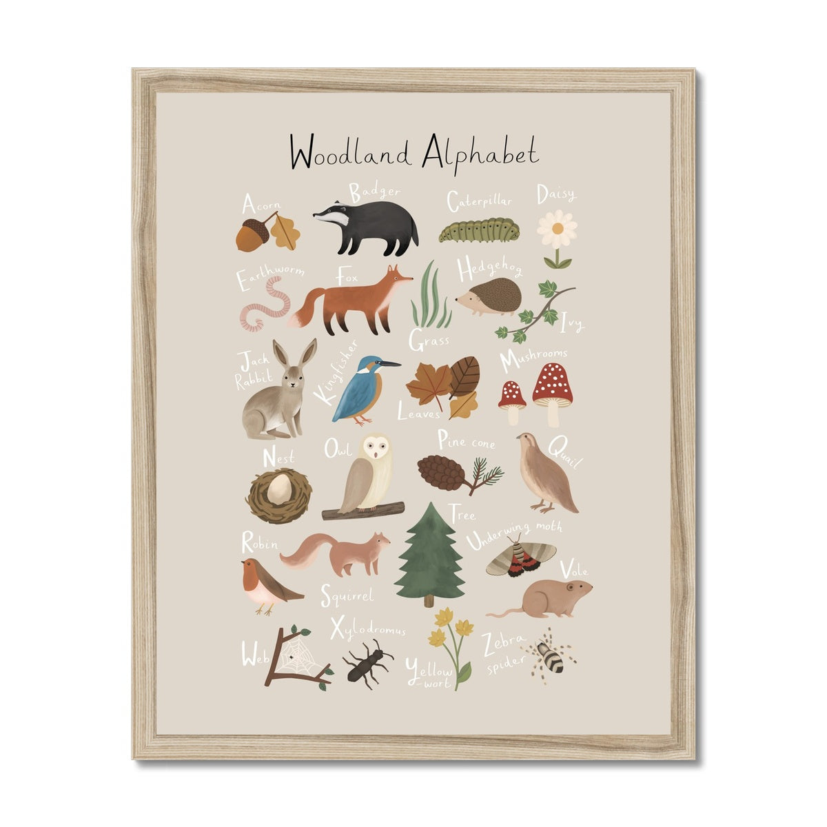 Woodland Alphabet in stone / Framed Print