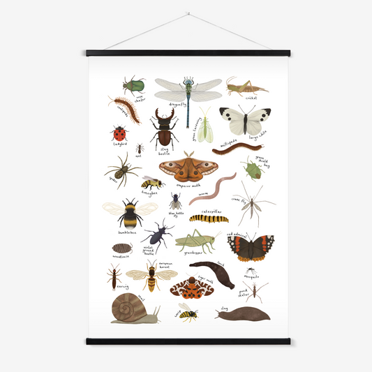 Minibeasts in white / Print with Hanger