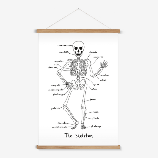 Skeleton in white / Print with Hanger