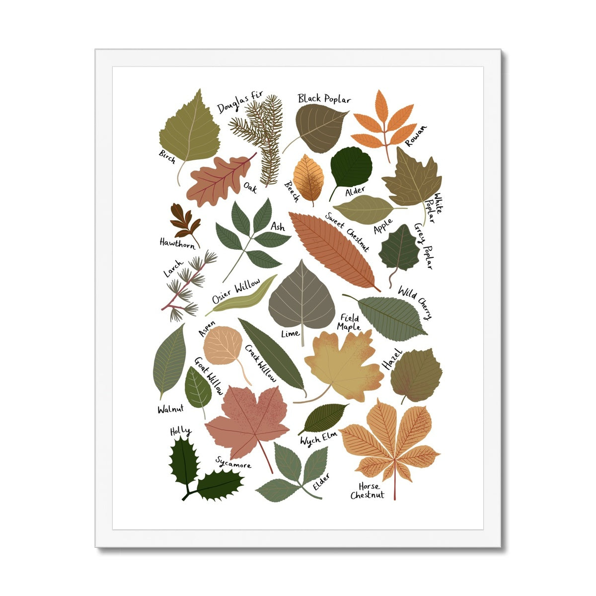 Leaf Chart / Framed Print