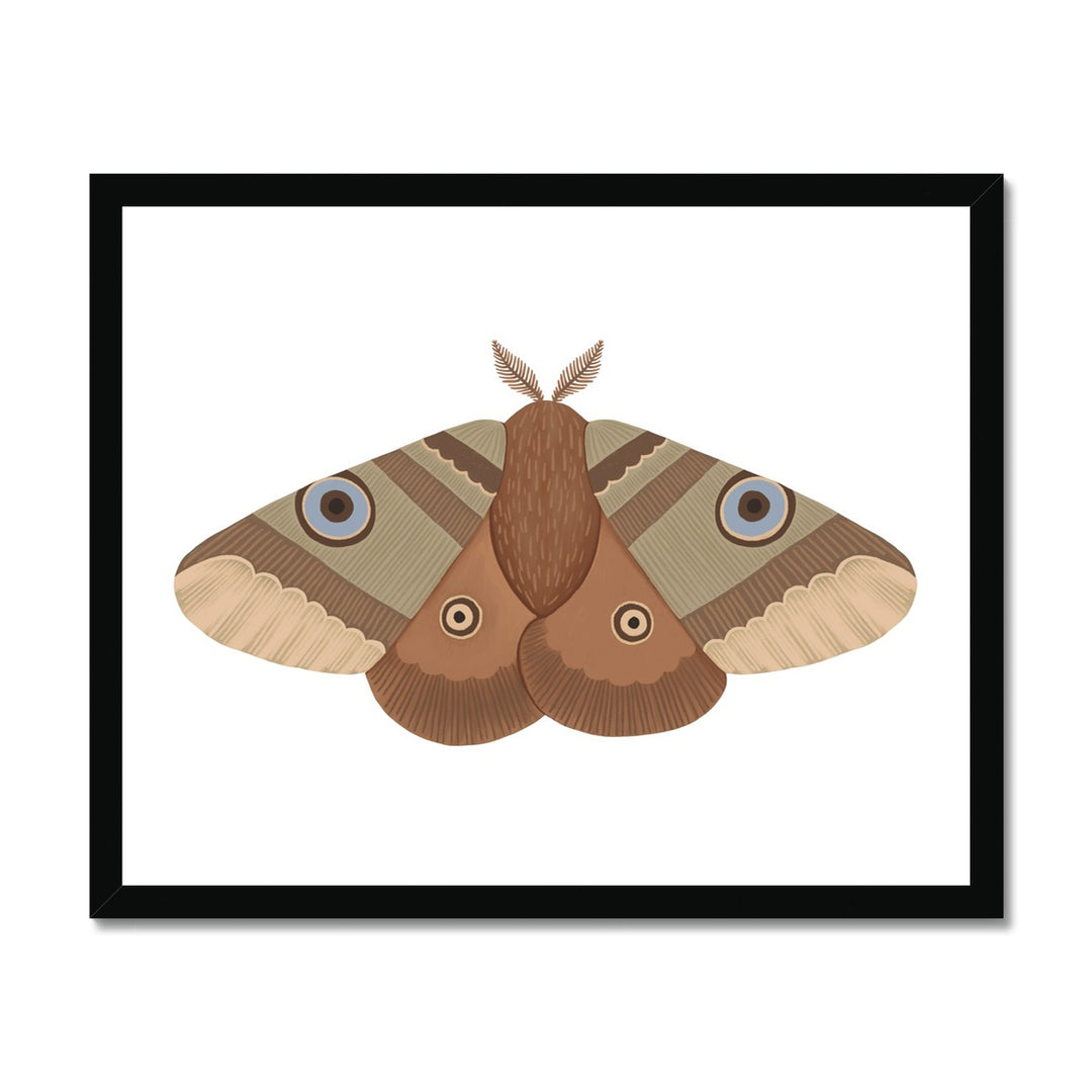 Moth / Framed Print