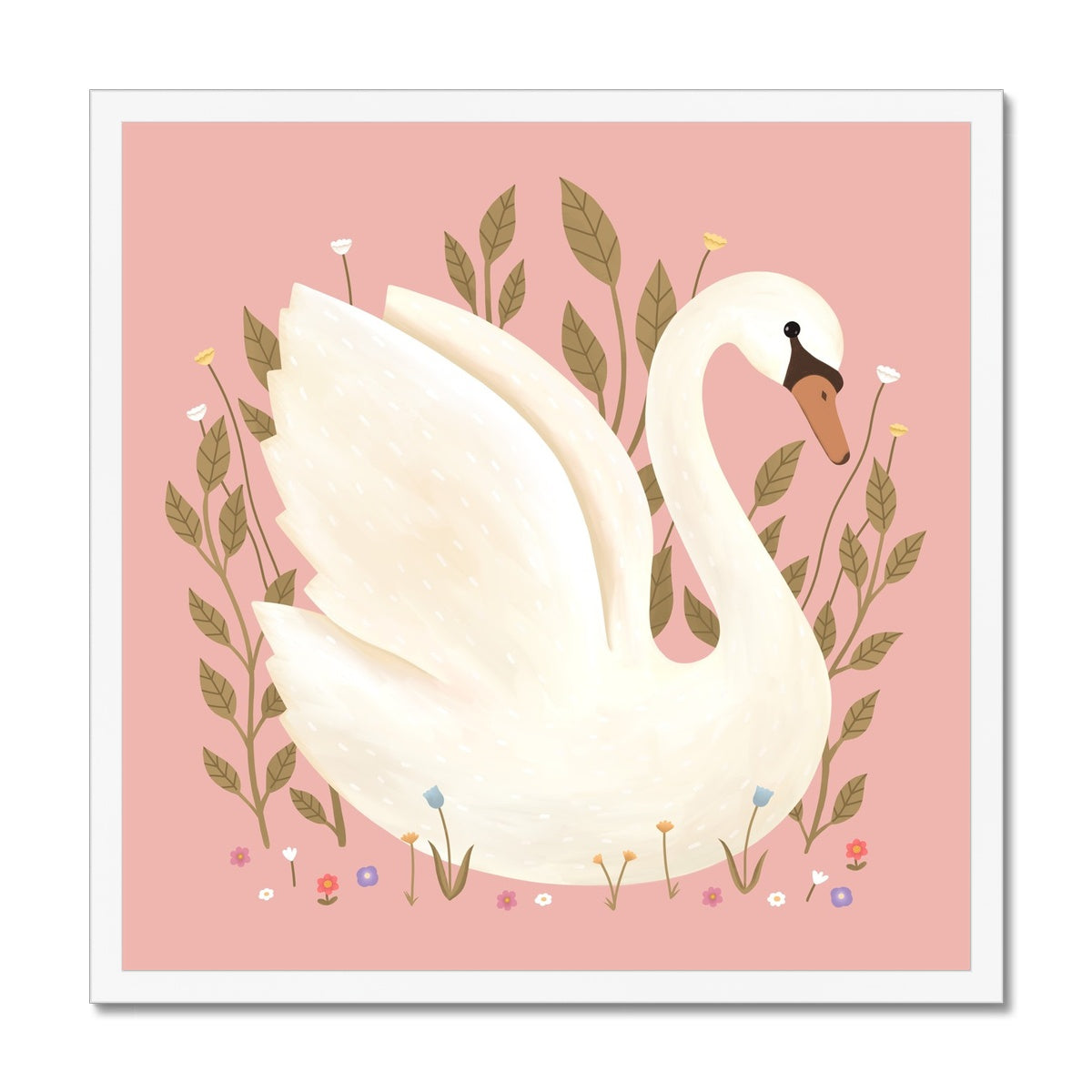 Swan in pink / Framed Print