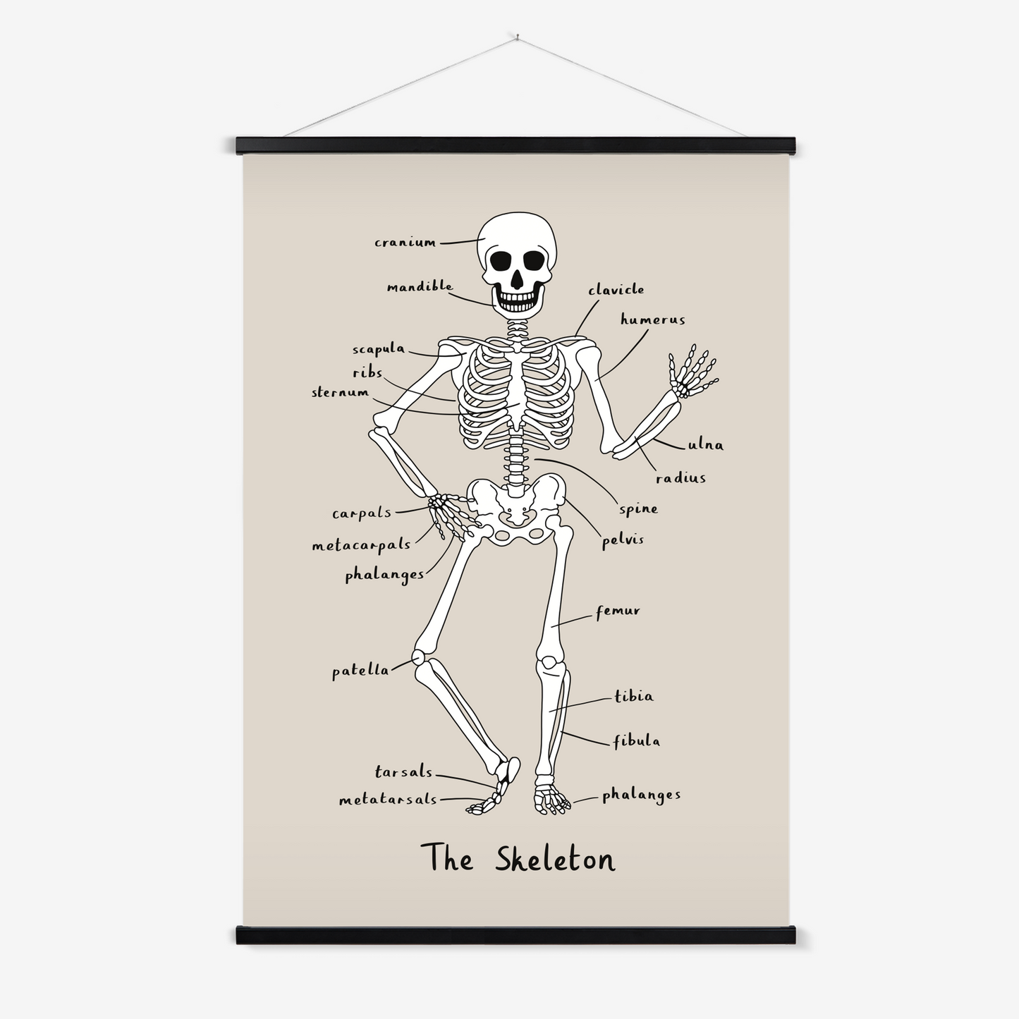 Skeleton in stone / Print with Hanger