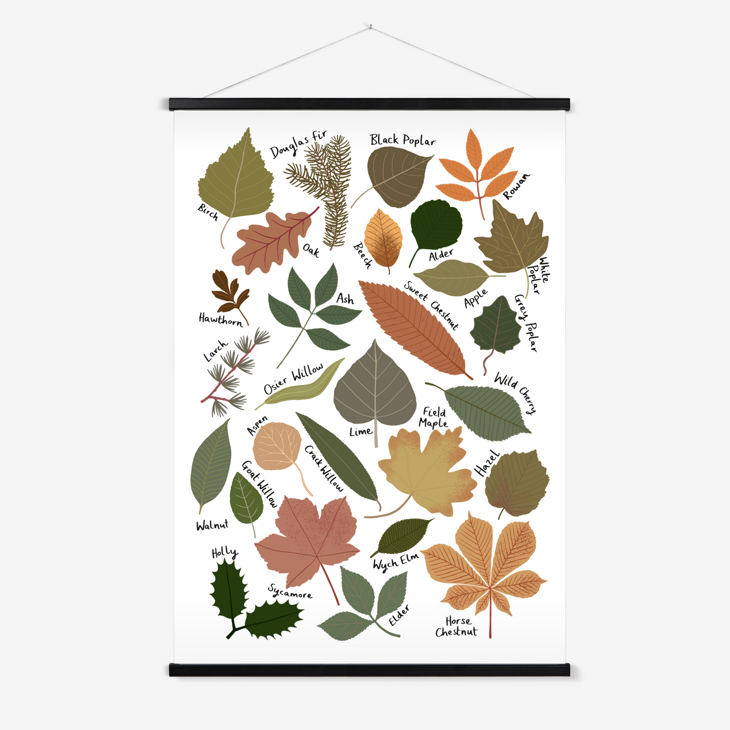 Leaf Chart / Print with Hanger