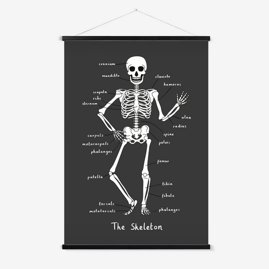 Skeleton in black / Print with Hanger