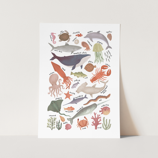 Ocean Life chart / Fine Art Print