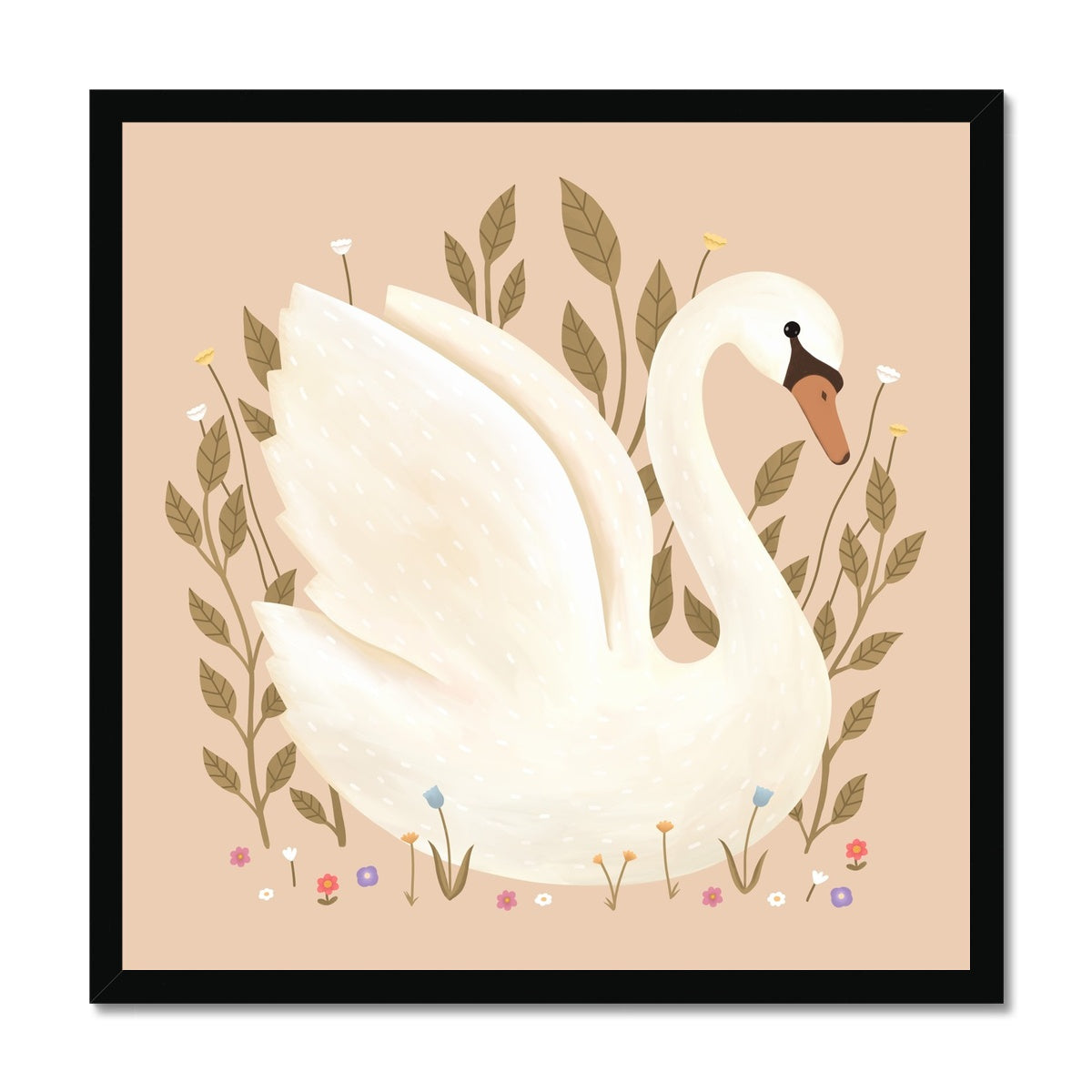 Swan in peach / Framed Print