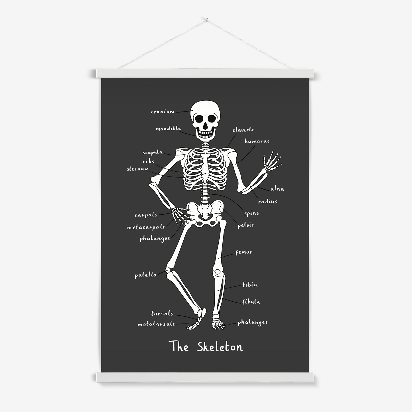 Skeleton in black / Print with Hanger