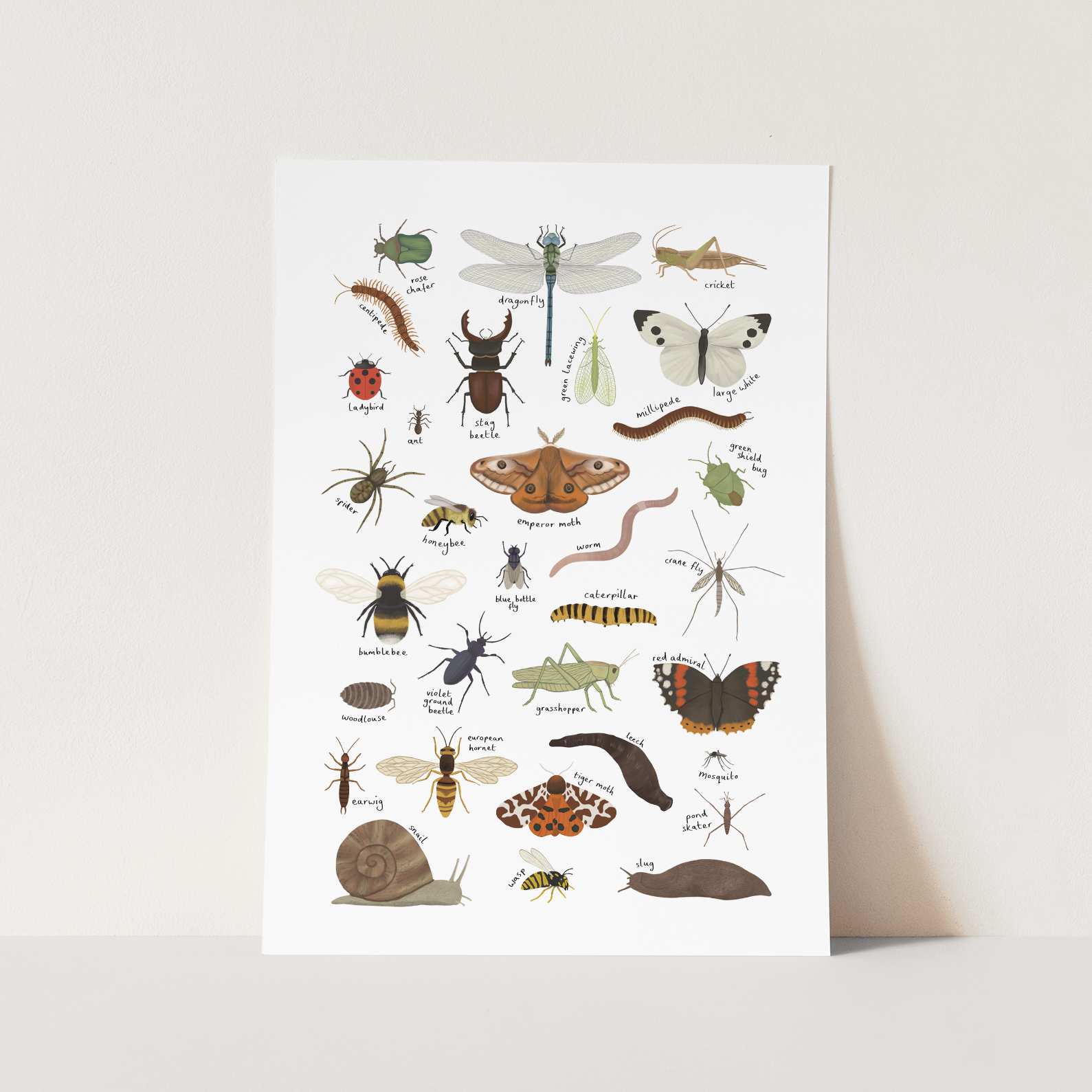 Minibeasts in white / Fine Art Print – Kid of the Village