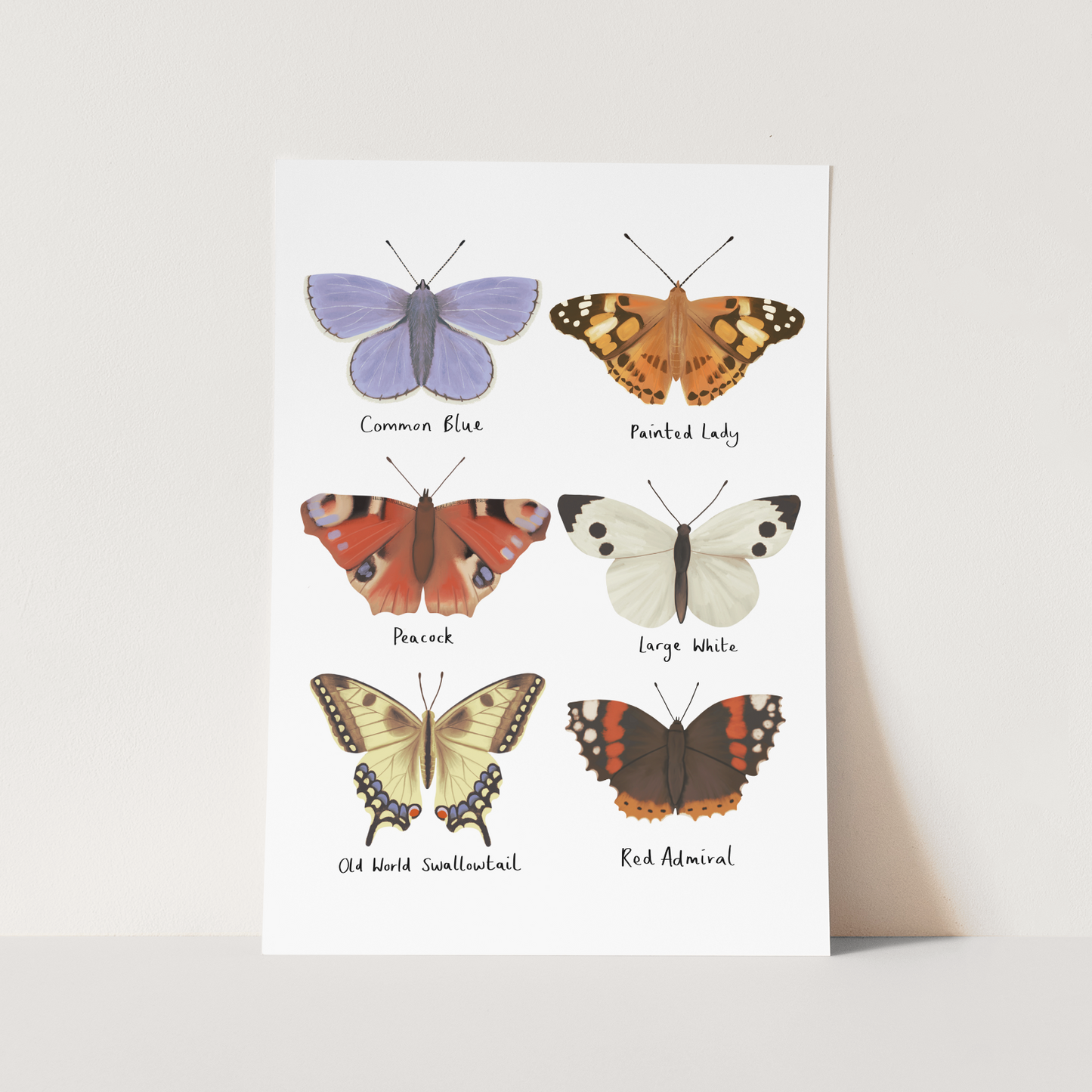 Butterflies / Fine Art Print