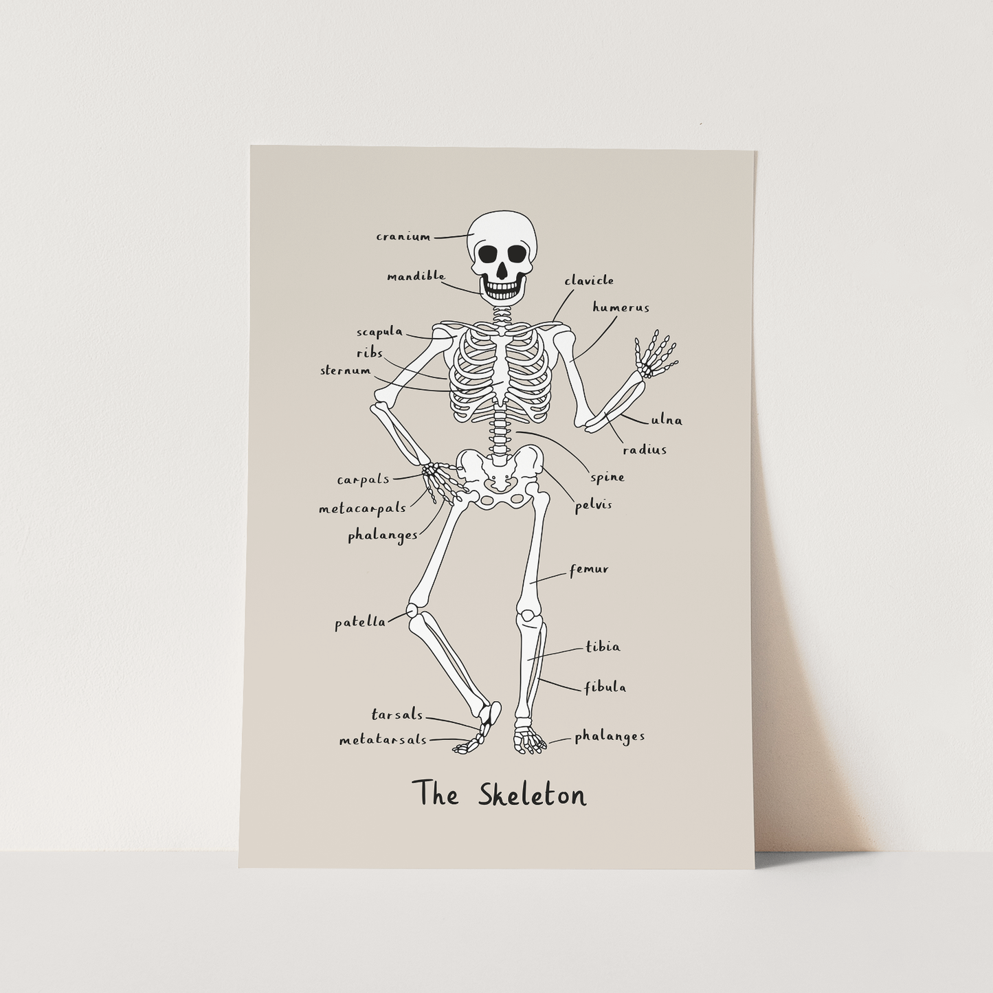 Skeleton in stone / Fine Art Print